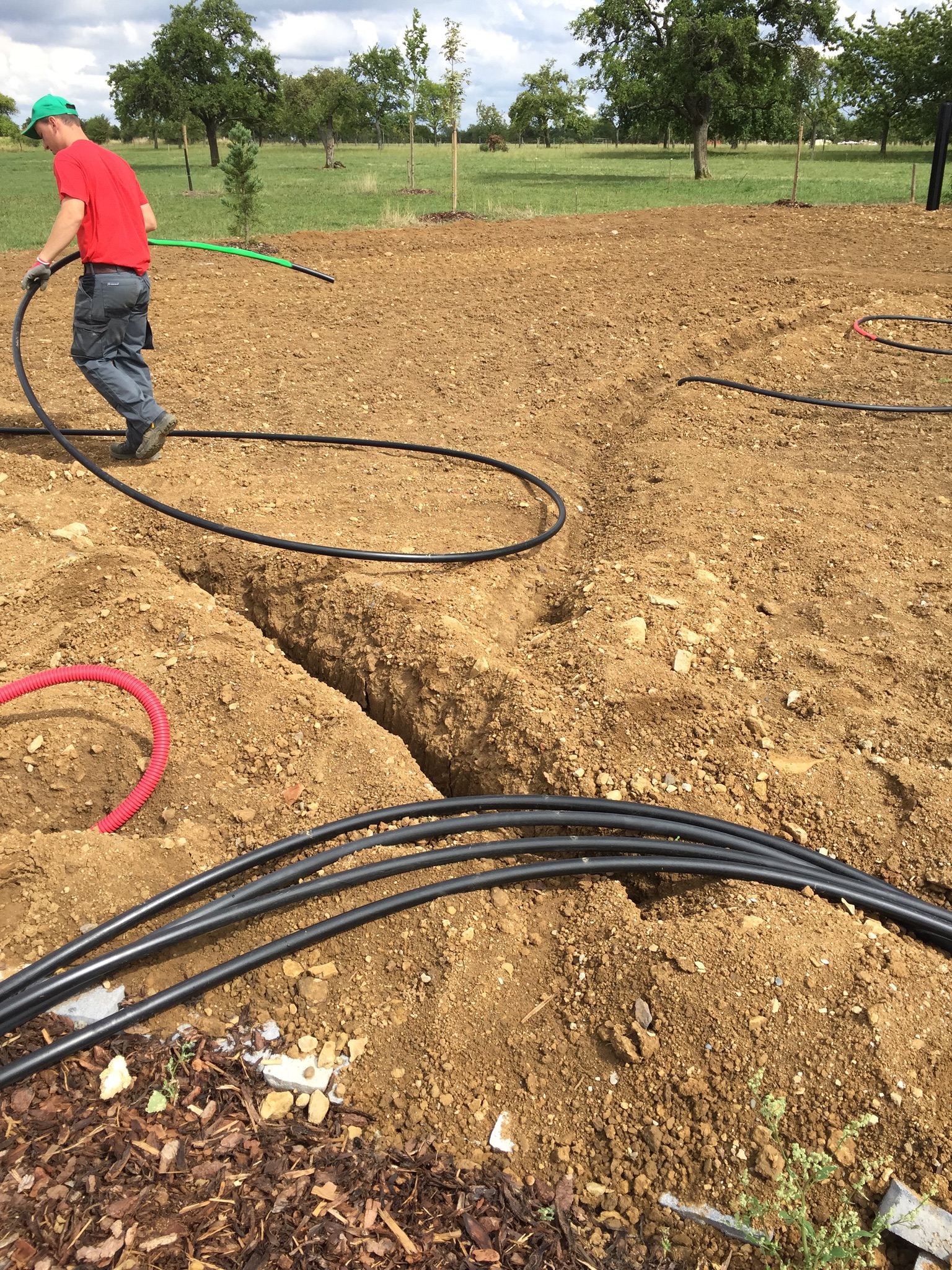 Drainage de jardin : que faire en cas de terrain trop humide